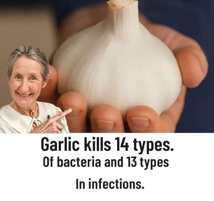 The Power of Garlic: How Allicin May Help Fight Harmful Germs