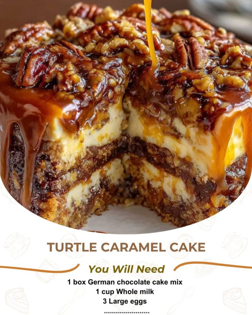Turtle Caramel Cake – Rich Chocolate, Gooey Caramel & Crunchy Pecans