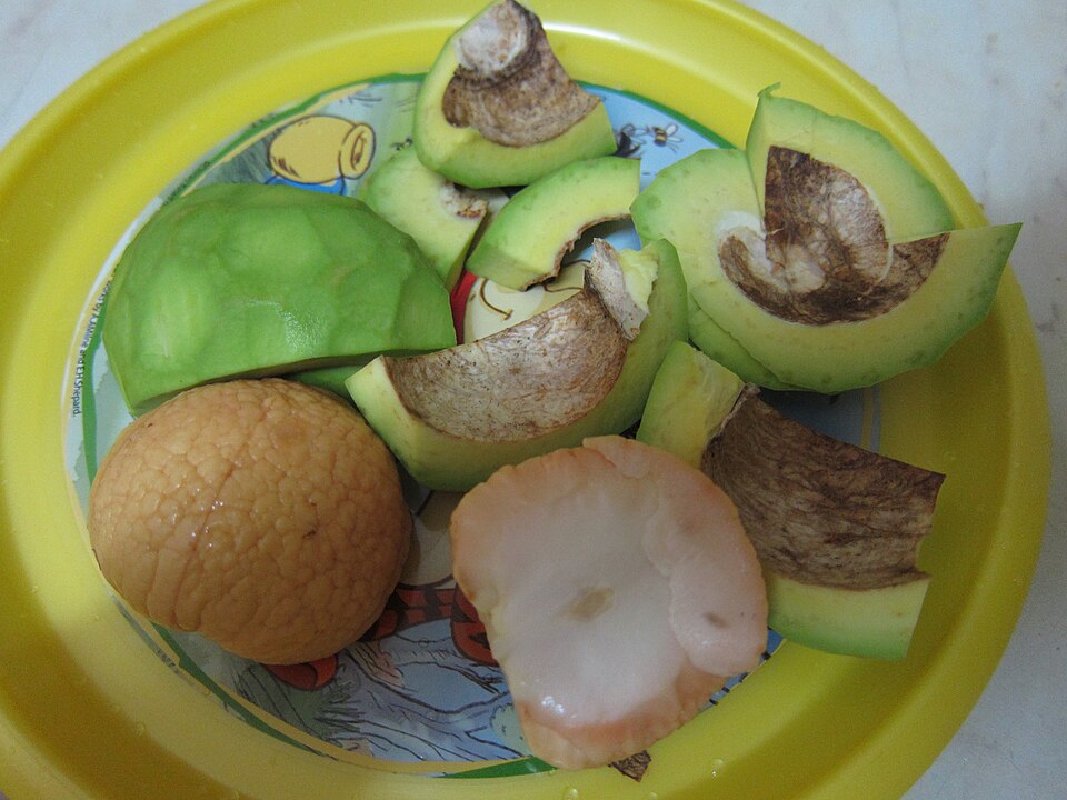 Avocado Seed Benefits: Uses, Properties, and Safe Ways to Consume It